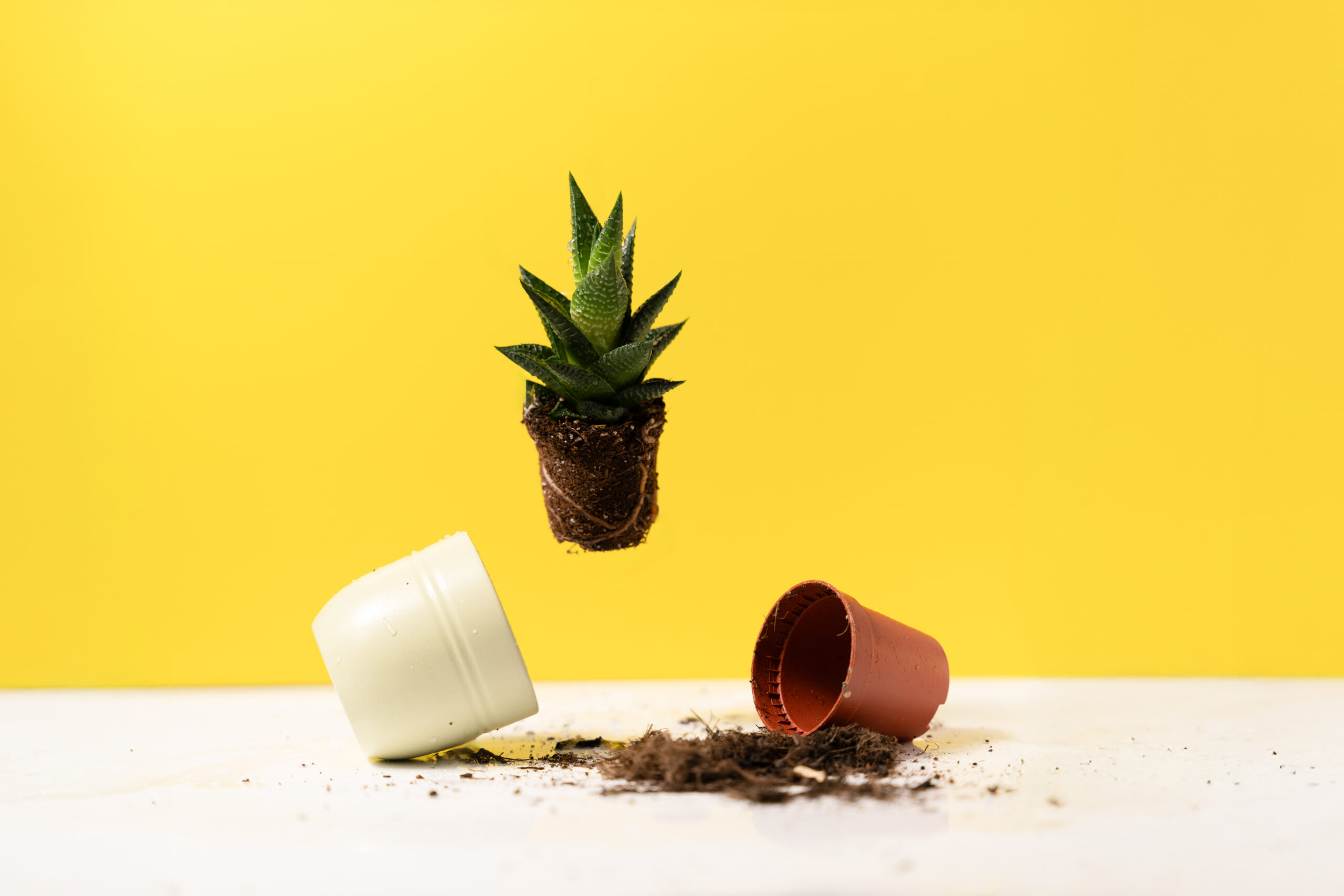 Produktfoto Niederösterreich, Produktfotografie Niederösterreich