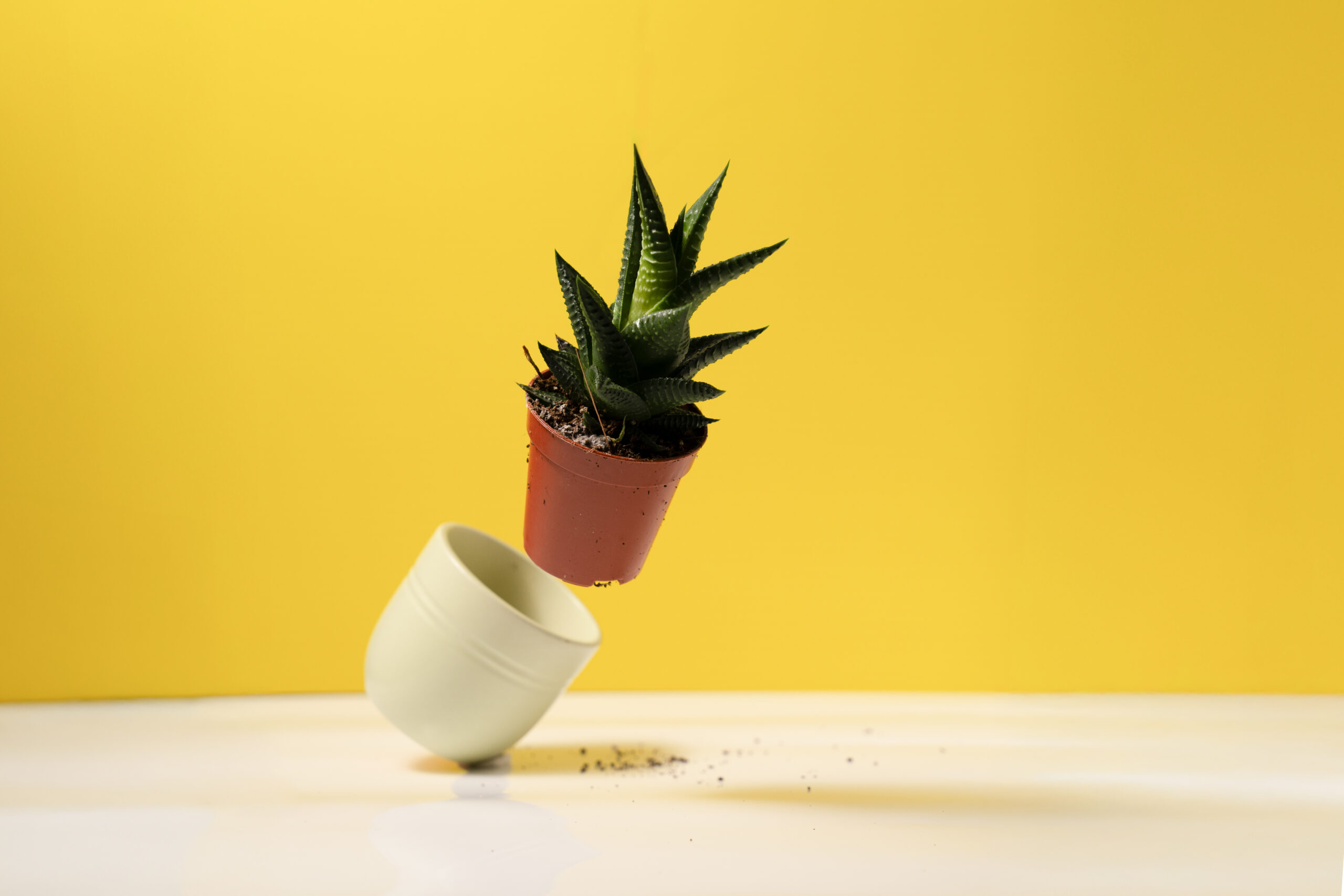 Produktfoto Niederösterreich, Produktfotografie Niederösterreich