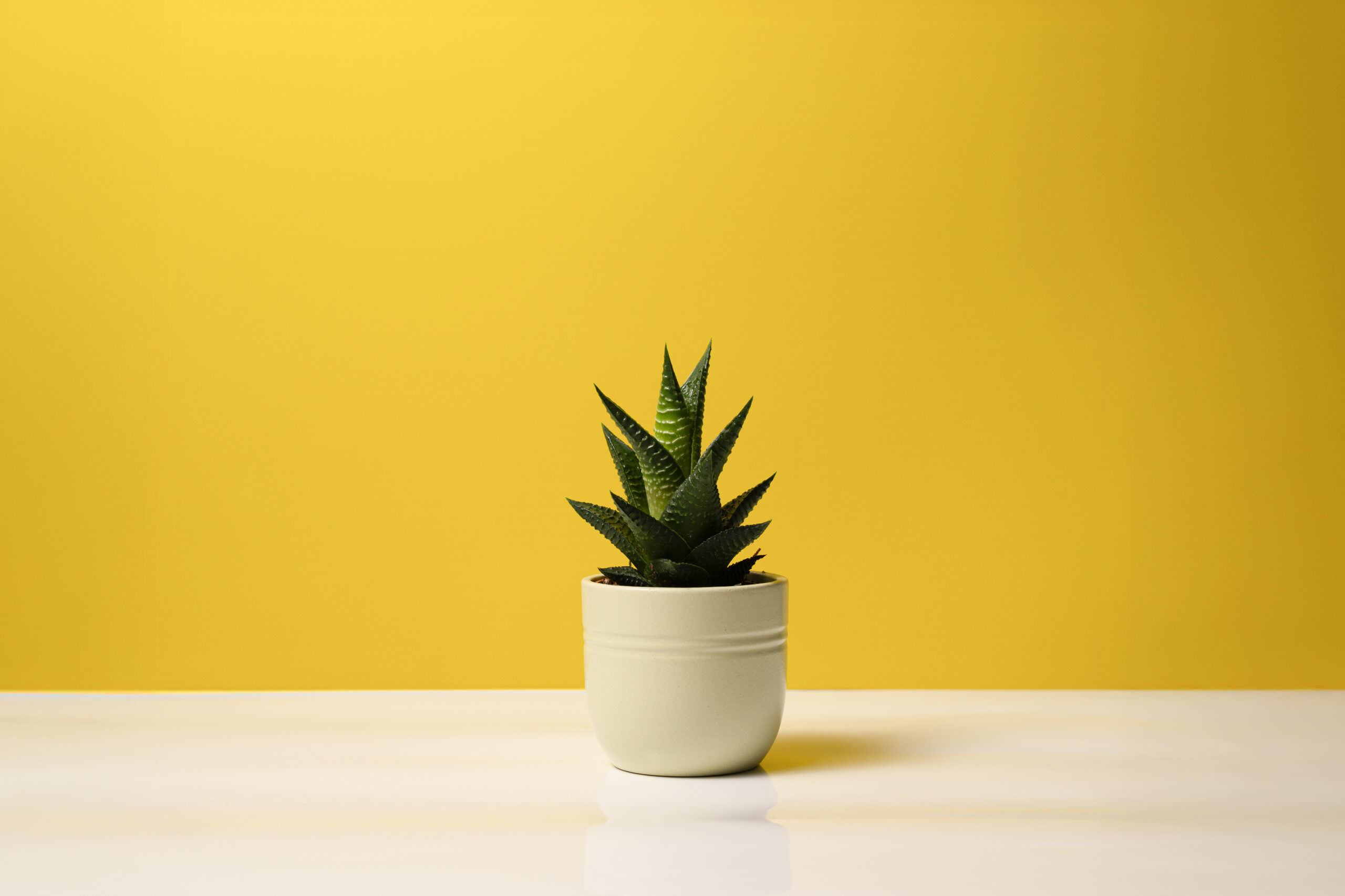 Produktfoto Niederösterreich, Produktfotografie Niederösterreich